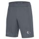 Under Armour Men's Raid Shorts (graphite)